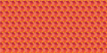 Tapis Salomé